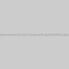 Image of Recombinant (E.Coli) Human p38 alpha/SAPK2 alpha